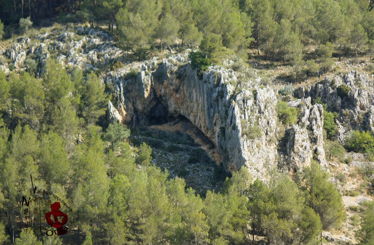Cova llarga