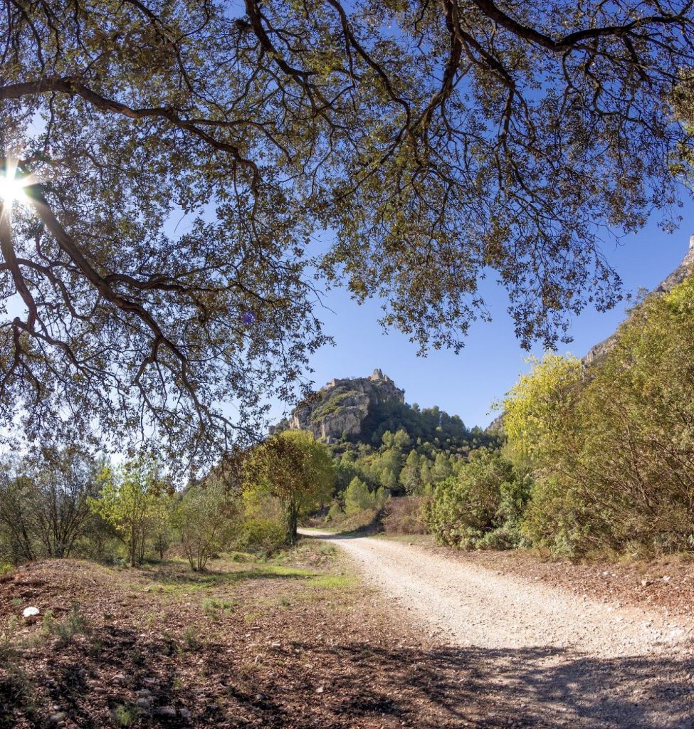 ruta_5_1